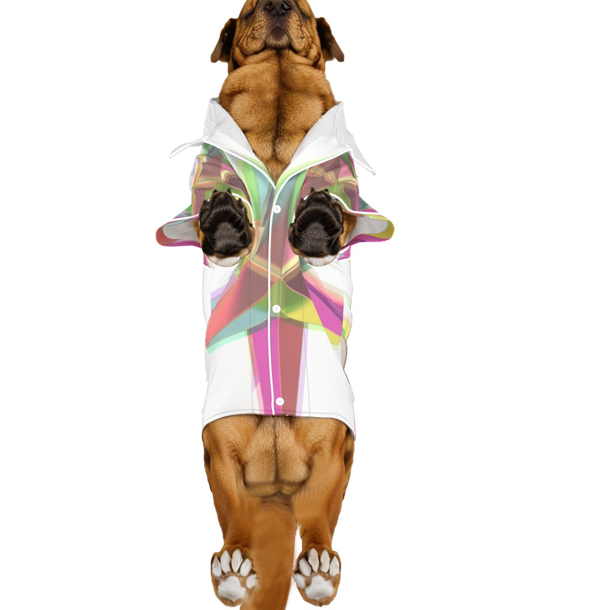 ADS-3ATXJH01-NZWBQ-FFFFFF
