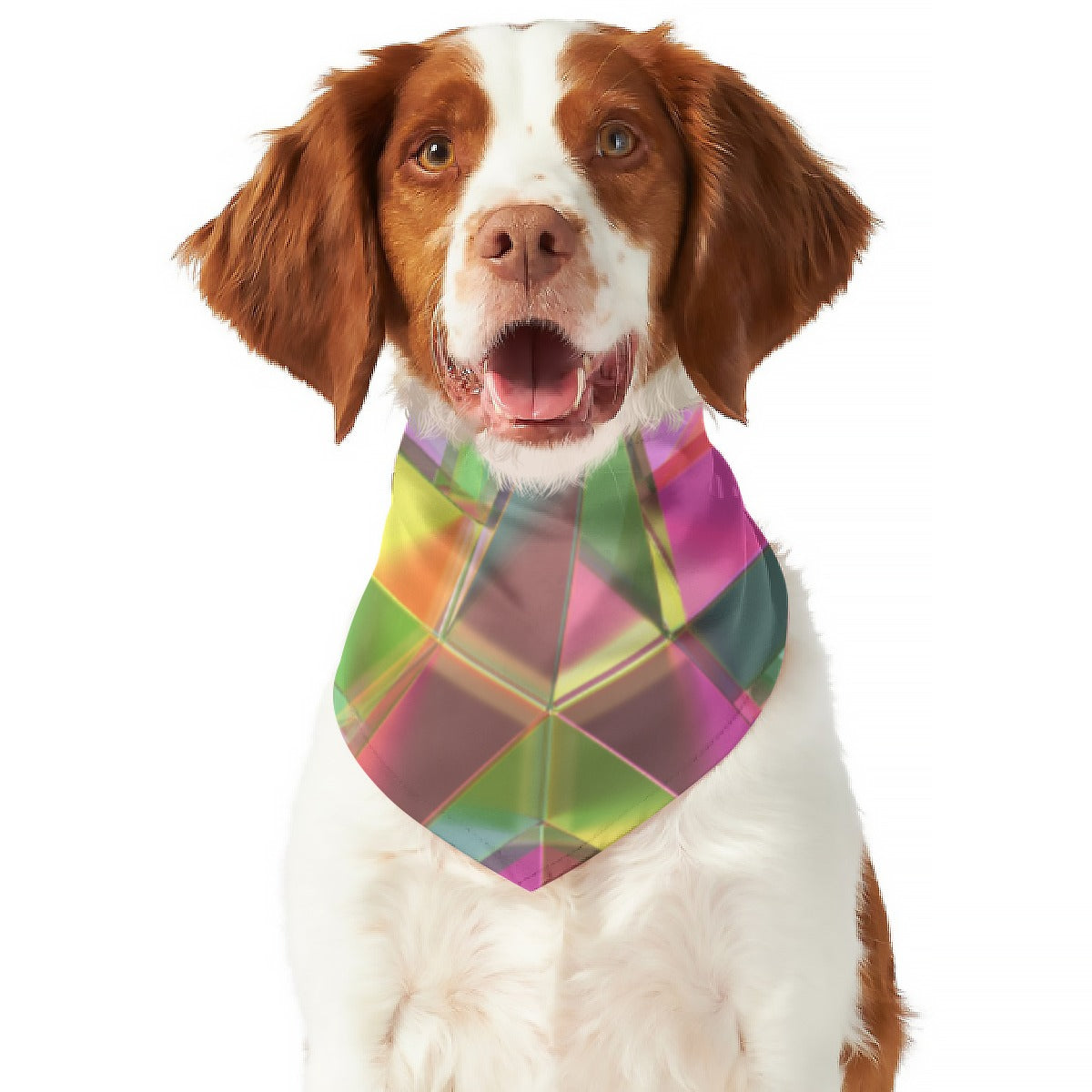 All-Over Print Pet's Scarf