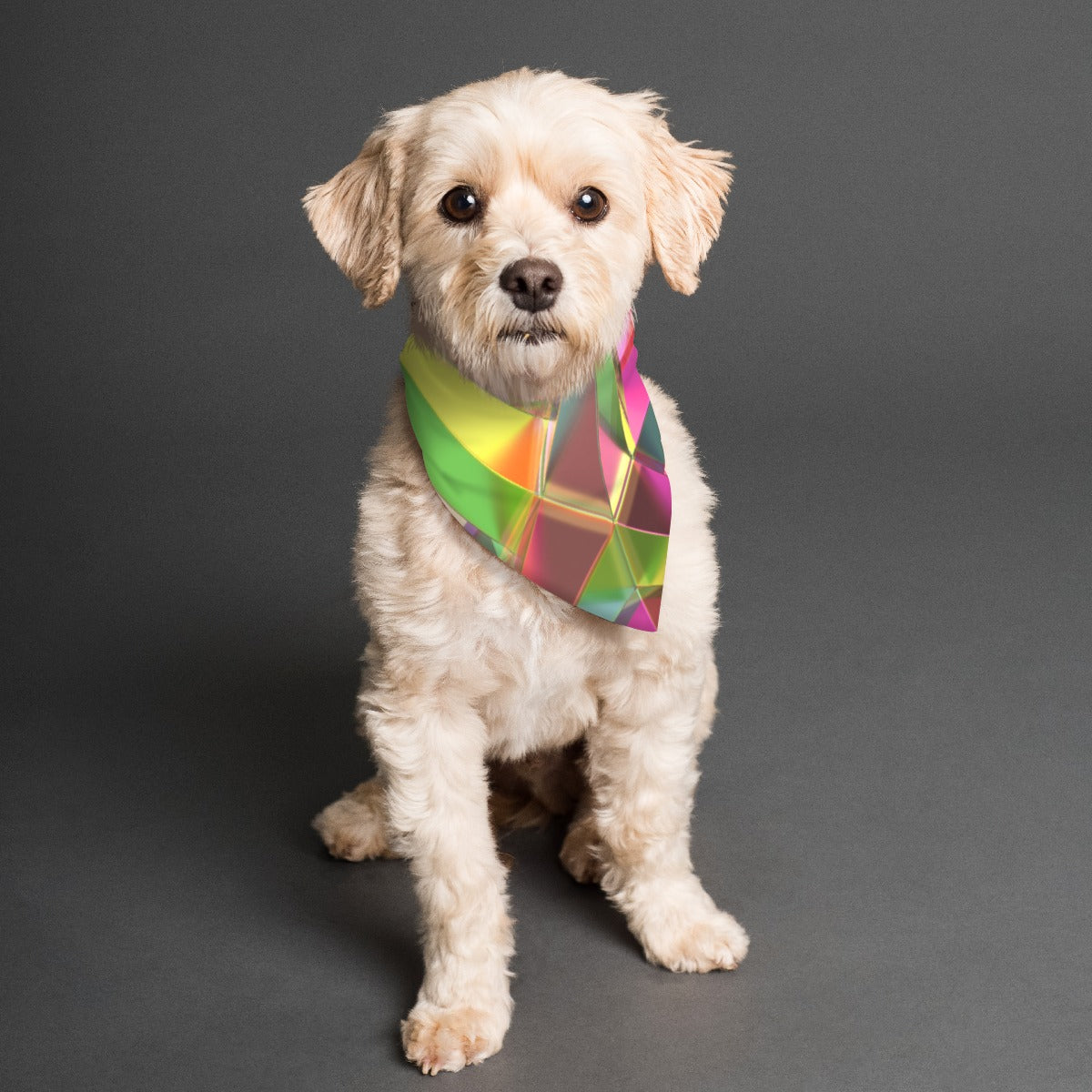 All-Over Print Pet's Scarf